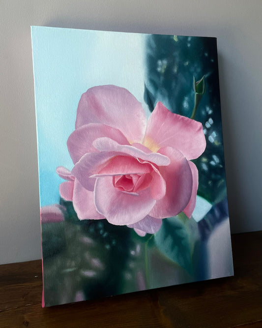 Pink Rose Oil painting 12x16