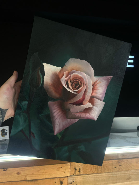 Peach Rose Oil painting 12x16